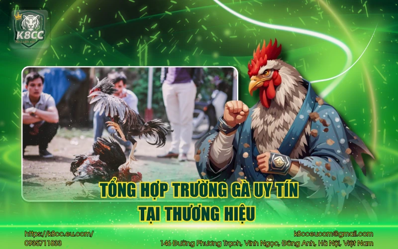 Đá Gà Campuchia - Trải nghiệm cực gay cấn cho bet thủ 3 Tổng hợp trường gà uy tín tại thương hiệu
